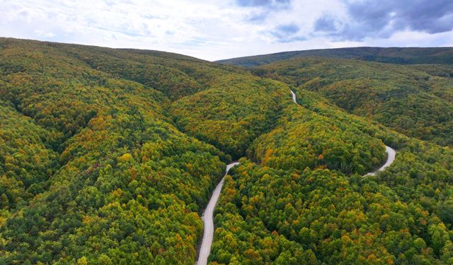 Erbaa’da Sonbahar Kartpostalları: Sakarat Yaylası Havadan Görüntülendi