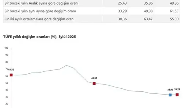 TÜİK Eylül 2025 Enflasyon Verilerini Açıkladı: Yıllık Enflasyon %33,29, Kira Artış Oranı %38,36