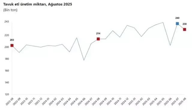 TÜİK: Ağustos’ta Tavuk Eti Üretimi Azaldı, Yumurta ve Süt Üretimi Arttı