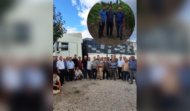 Erbaa Narince Üzümü İçin Yeni Fiyat Açıklandı