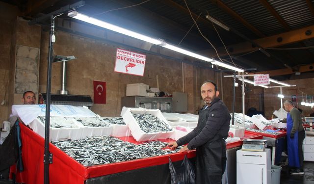 Erbaa’da Balık Sezonunun Gözdesi Yine Hamsi