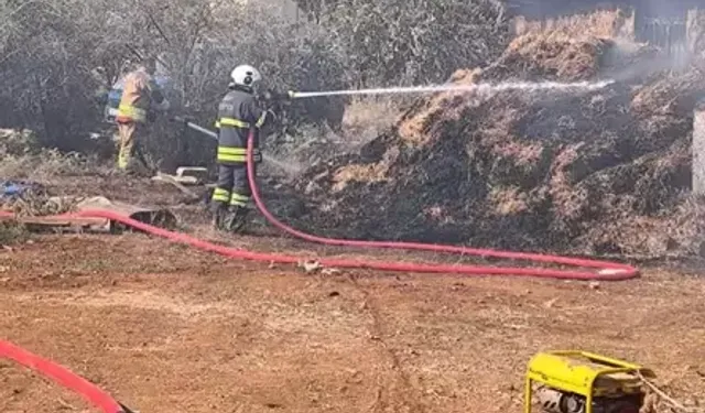 Samanlık ve Bahçe Yangınları Korkuttu: Ekipler Alevleri Söndürdü