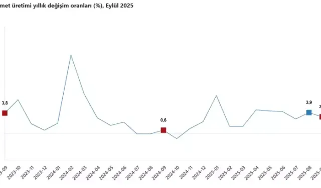 TÜİK: Eylül Ayında Hizmet Üretimi Yıllık %3,1 Arttı, Aylık %0,1 Azaldı