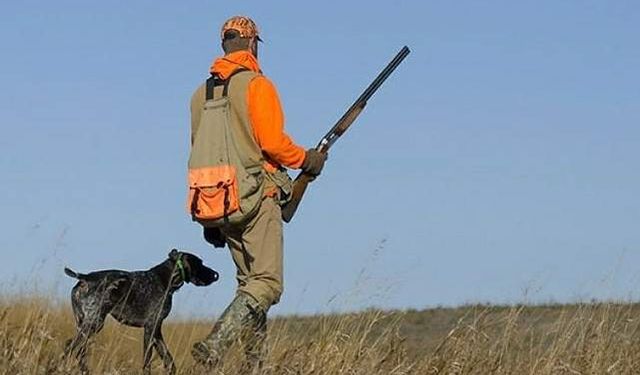 Tokat’ta Yabancı Avcılar İçin Resmî İzin: 12 İngiliz Vatandaşına Yaban Domuzu Avı Onayı