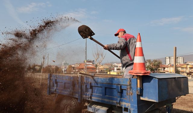Tokat’ta 100 Bin Kışlık Çiçek Şehrin Kavşaklarını ve Refüjlerini Süslemeye Başladı