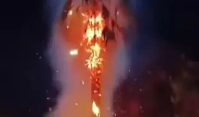 Kızıltepe’de 15 Yıllık Palmiye Ağacı Kundaklandı