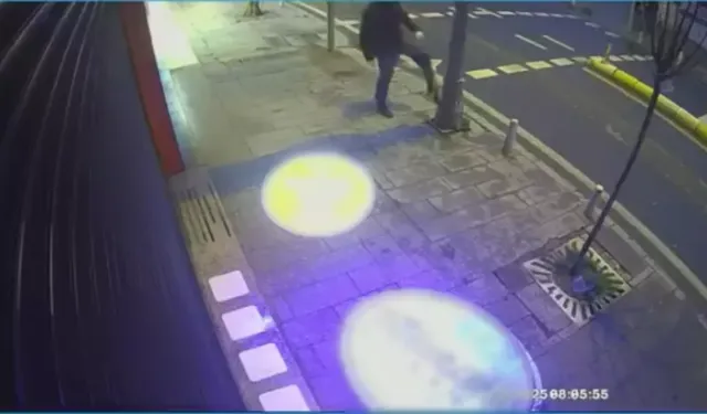 Öfke Nöbeti: Direkleri Tekmeledi, Ağaçları Kökünden Söktü