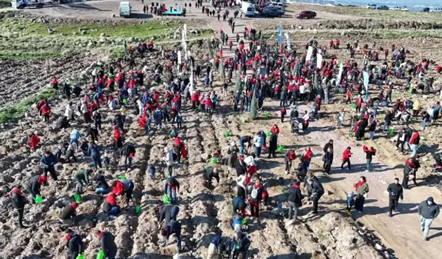 Yeni Doğan Bebekler İçin 5 Bin Fidan Dikildi