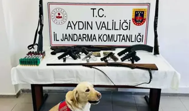 Yasa Dışı Silah Ticareti Operasyonu: 1 Gözaltı