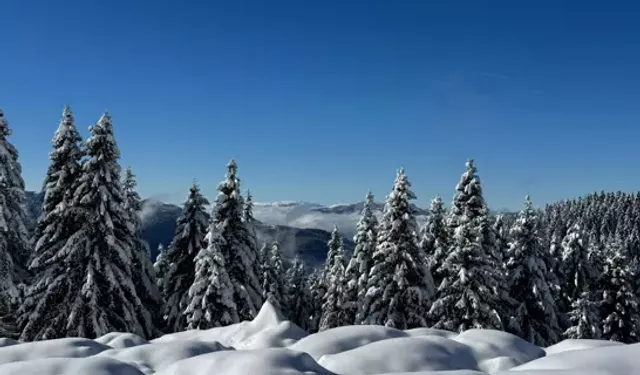 Çambaşı Yaylası Beyaz Örtüyle Kaplandı