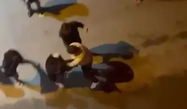 Sokak Ortasında Taksici ve Müşteriler Arasında Kavga