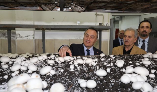 Rektör Prof. Dr. Fatih Yılmaz’dan Tokat’ta Mantar Üretim Tesisine Ziyaret