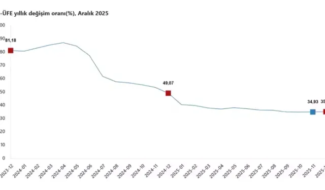 Hizmet Üretici Fiyatları Aralık’ta Yüzde 35,11 Arttı