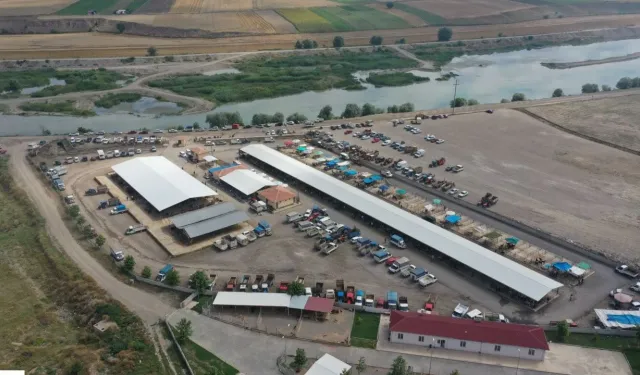 Tokat’ta Karantina Bitti: Hayvan Pazarlarında Hareketlilik Başlıyor