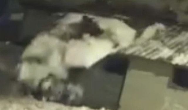 Turhal’da Kar Temizlerken Canından Oluyordu!