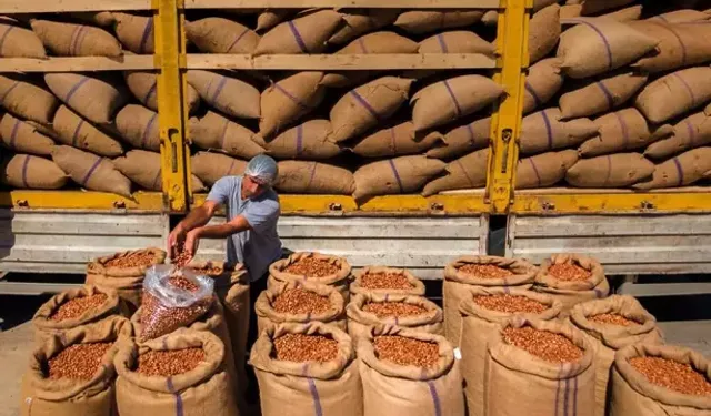 Fındık İhracatında Ocak Ayında Miktar ve Değer Düştü