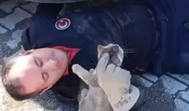 Ambulans Altında Sıkışan Kedi Kurtarıldı