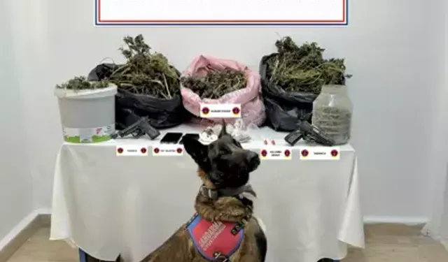 Uyuşturucu Operasyonu: 2 Şüpheli Tutuklandı