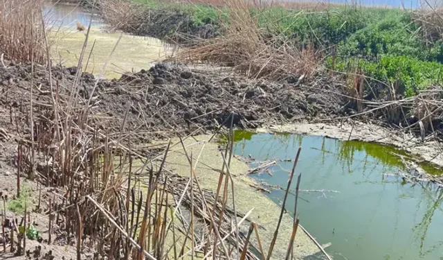 Eber Gölü İçin Kaçak Bentler Yıkılıyor