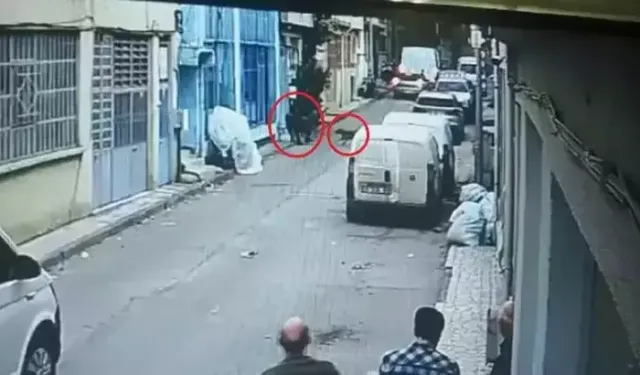 Pitbull Saldırısı: Baba ve Oğlu 7,5 Yıl Hapis Cezası Aldı