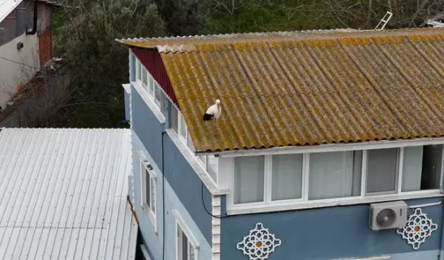Eskikaraağaç Leylek Köyü’nde Nazlı Leylek Erken Geldi