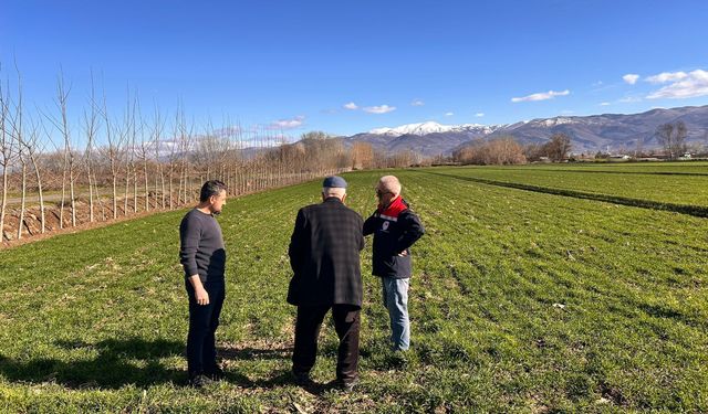 Turhal’da Hububat Tarlalarında Hastalık Alarmı: Tarım Ekipleri Sahada