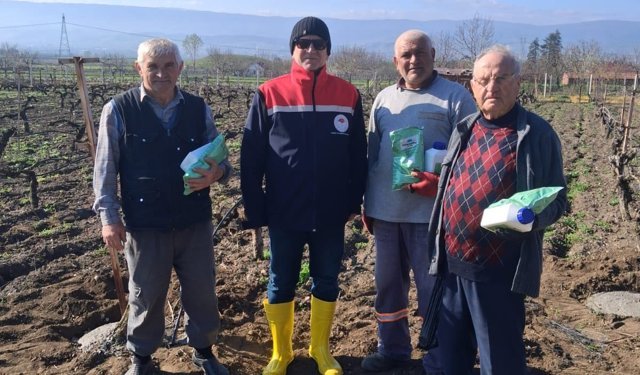 Erbaa Bağlarında "Bağ Uyuzu" Mesaisi: 6 Köyde Eş Zamanlı Çalışma