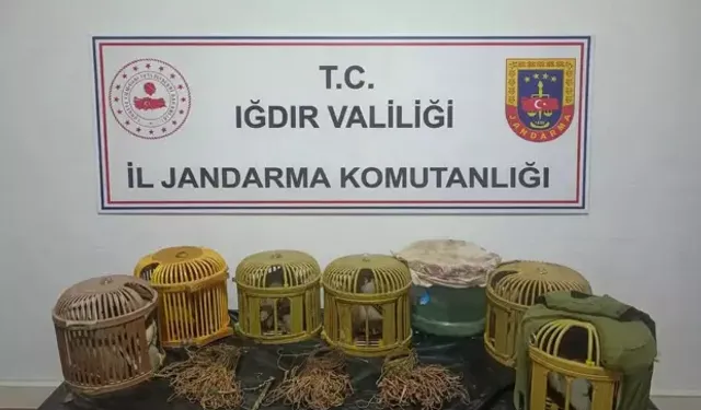 Iğdır’da Kaçak Keklik Avlayan 3 Kişiye 175 Bin Lira Ceza