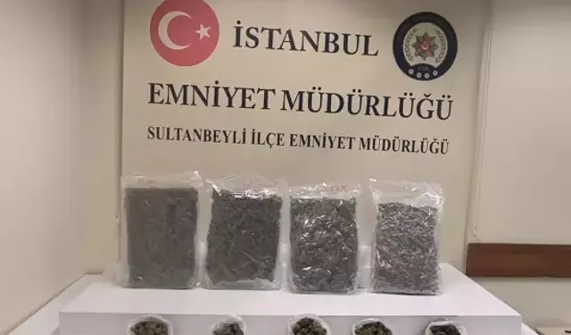 Sultanbeyli’de 5 Kilo Marihuana Ele Geçirildi, 1 Tutuklama