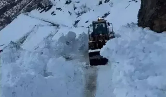 Bitlis’te Çığ Nedeniyle Kapanan Yollar  Yeniden Açıldı
