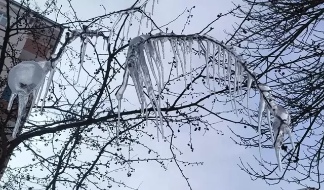 Kars’ta Soğuk Hava: Ağaçlarda Buz Sarkıtları Oluştu