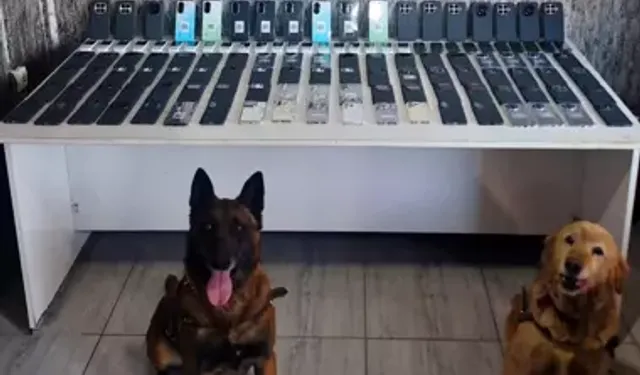 Şırnak’ta Kaçakçılık Operasyonu: 115 Gözaltı