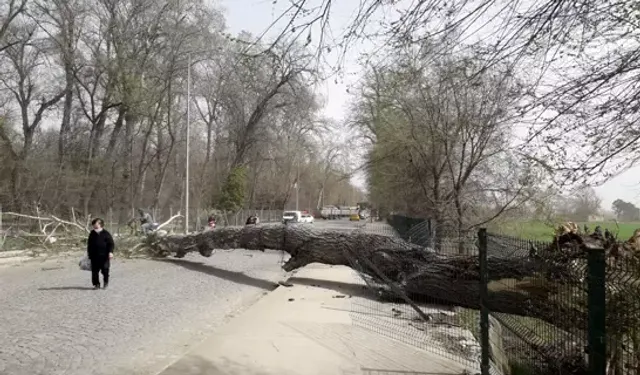 Fırtına Uyarısı: Rüzgar Hızı Yer Yer 70 Km/Saat’e Çıkacak