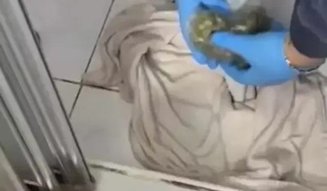 Maltepe’de Uyuşturucu Operasyonu: 1 Tutuklama