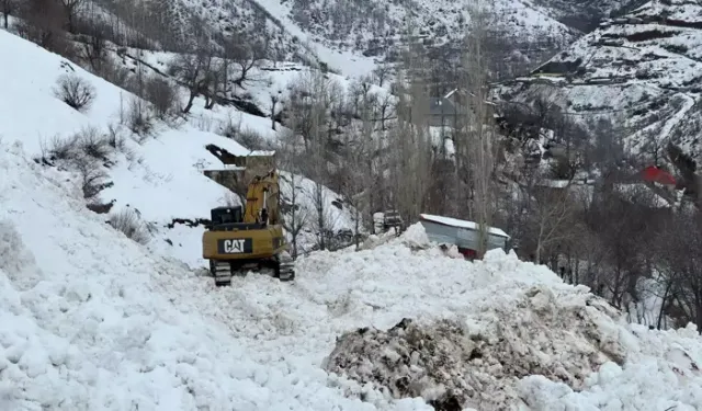 Yeşiltaş Köyünde Çığ Paniği: Ekipler Müdahale Ediyor
