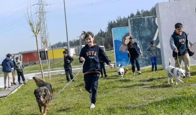 Bakımevlerindeki Hayvanlar Yeni Sahiplerini Bekliyor