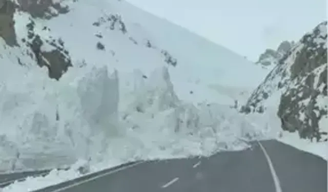 Van-Hakkari Kara Yolunda Çığ Felaketi: Araçlar Yolda Kaldı