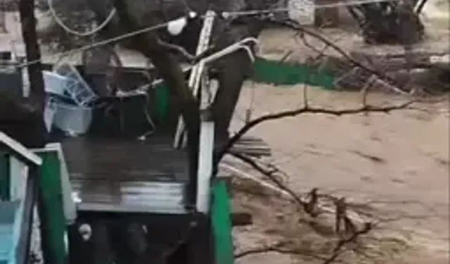 Yalova’da Sağanak Sele Dönüştü: 5 Büyükbaş Telef Oldu