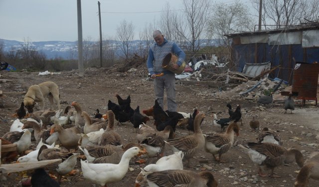 Sanayinin Paslı Çarkları Arasında Yükselen Doğa Senfonisi: Kaporta Ustası Durmuş’un "Kanatlı" Dünyası