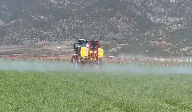 Erbaa’da Buğday Mesaisi: Yağışlar Sonrası "Pas" Alarmı!