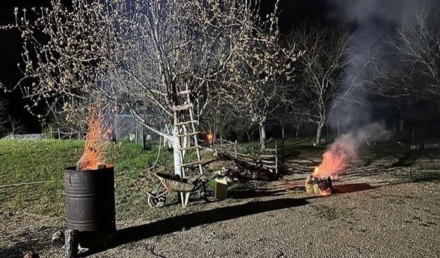 Erbaalı Üreticilerden Don Mesaisi: Çiçek Açan Ağaçlara Örtülü Koruma