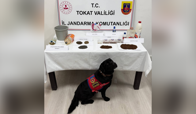 Tokat'ta Uyuşturucu Operasyonu 7 Gözaltı