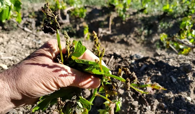 Erbaalılar Dikkat! Geçen Yıl Yaşanan Felaket İçin Bu Yıl Tekrar Uyarı Geldi