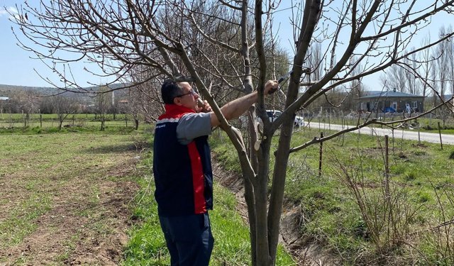 Yeşilyurt’ta Tarım Seferberliği: Hem Budama Eğitimi Hem Tarla Kontrolü!