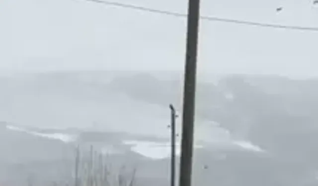 İpekyolu’nda Kent Merkezine İnleyen Kurt Kamerada