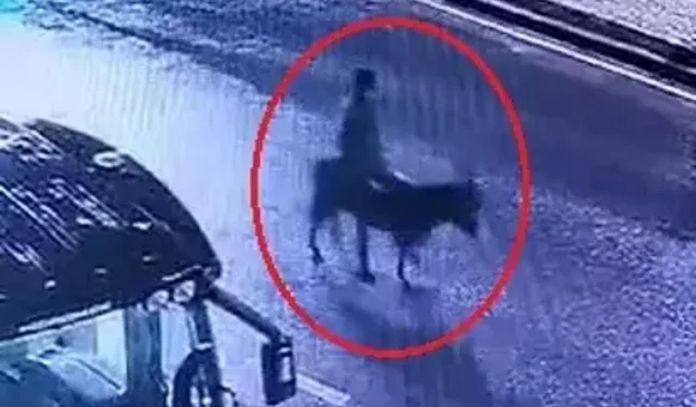 Forkliftle Kuyumcu Soygununa 16 Yıl Talep