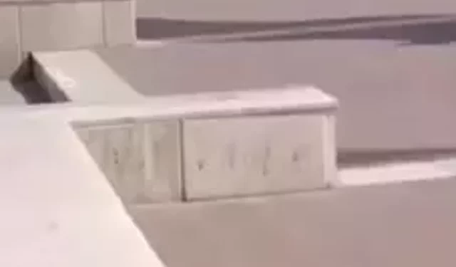 Yalova’da Fotoğraf İddiası Sonrası Darp Olayı