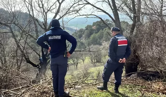 Yenicepınar Köyü’nde Yol Kenarında Çıkan Yangın Söndürüldü