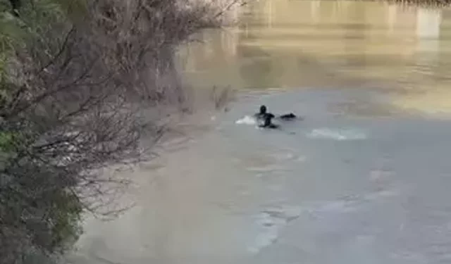 Tunceli’de Munzur Nehri’nde Kadın Cesedi Bulundu