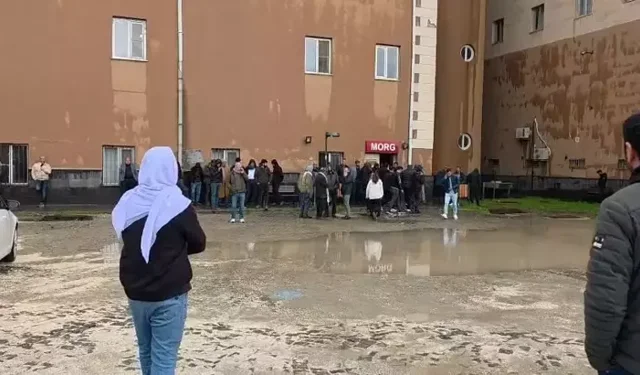 Ergani’de Yıldırım Faciası: 2 Çocuk Hayatını Kaybetti